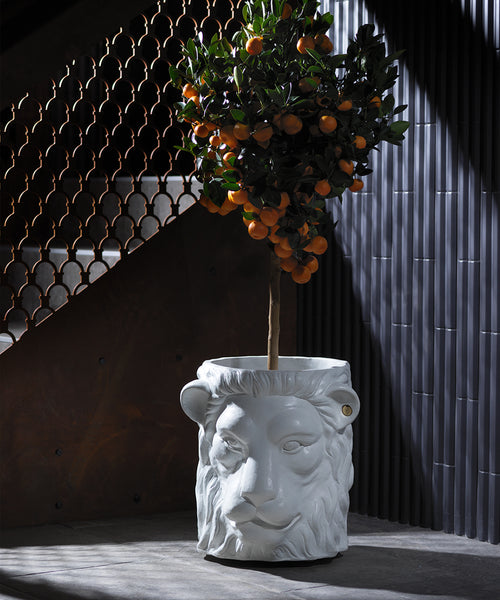 Large Lion Pot - White