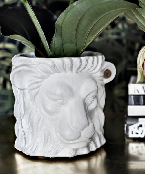 Small Lion Pot