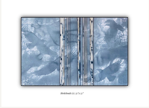 Bird Clouds 1
