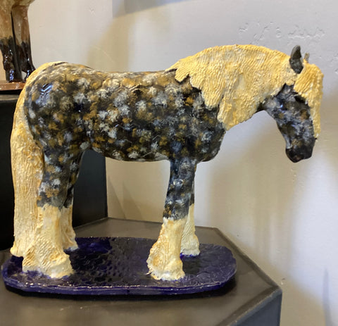 The Gypsy Vanner