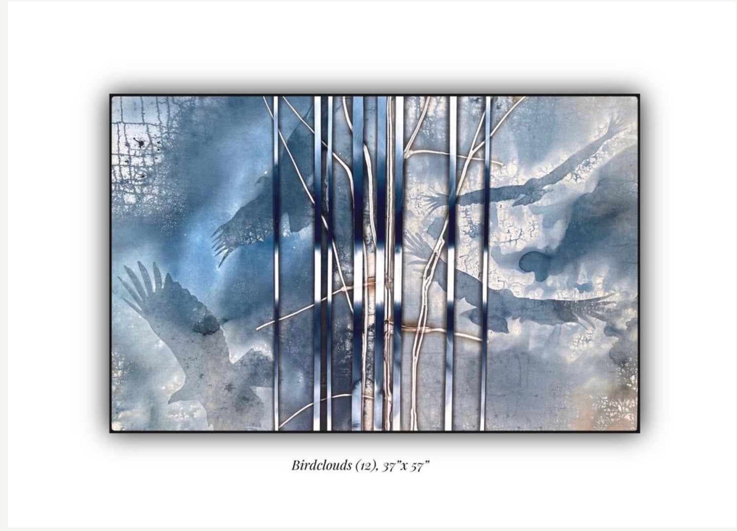 Bird Clouds 12