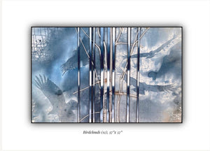 Bird Clouds 12