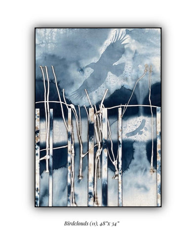 Bird Clouds 11