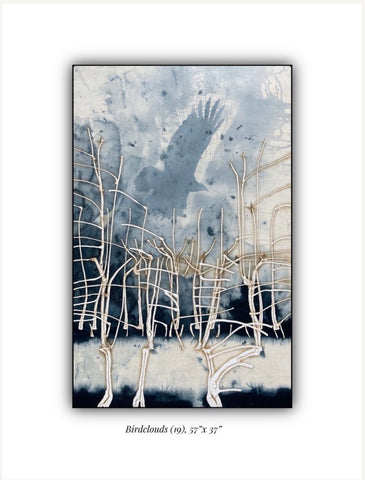 Bird Clouds 19