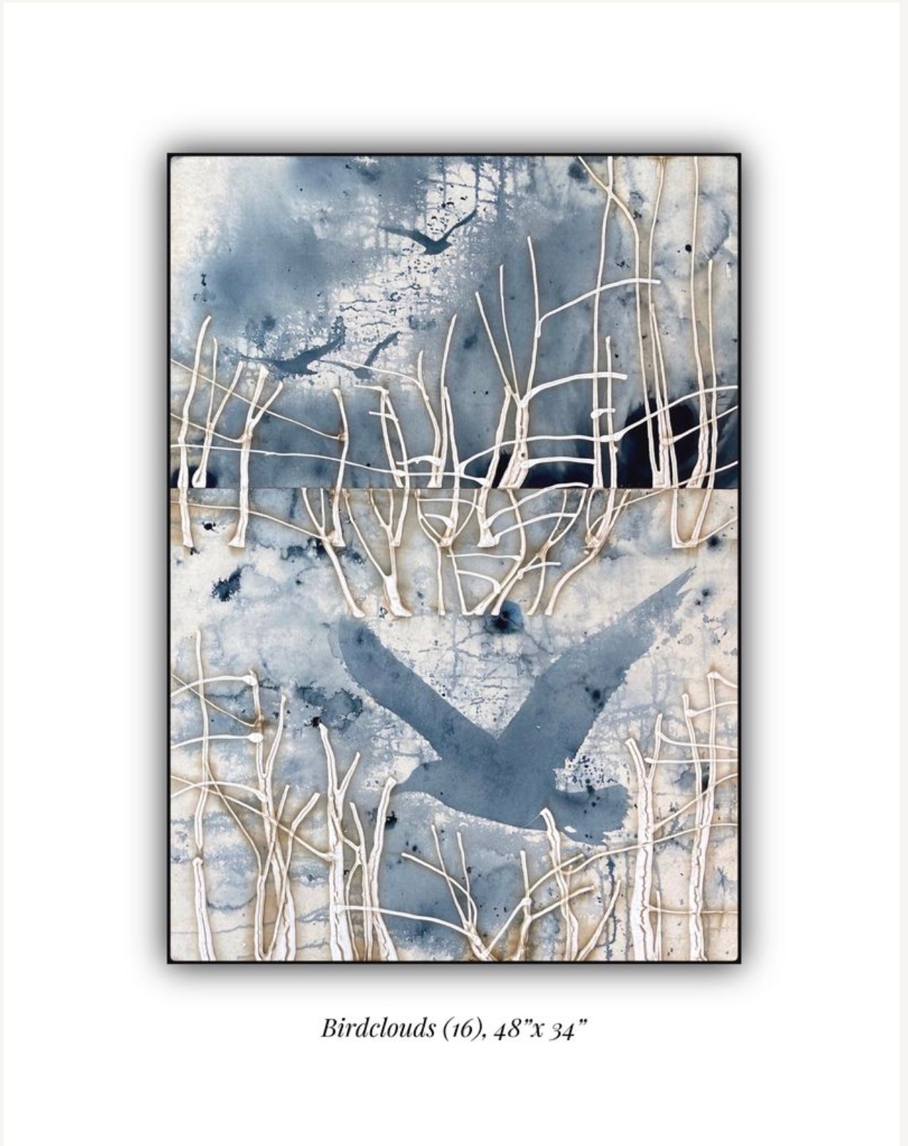 Bird Clouds 16