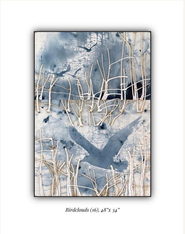 Bird Clouds 16