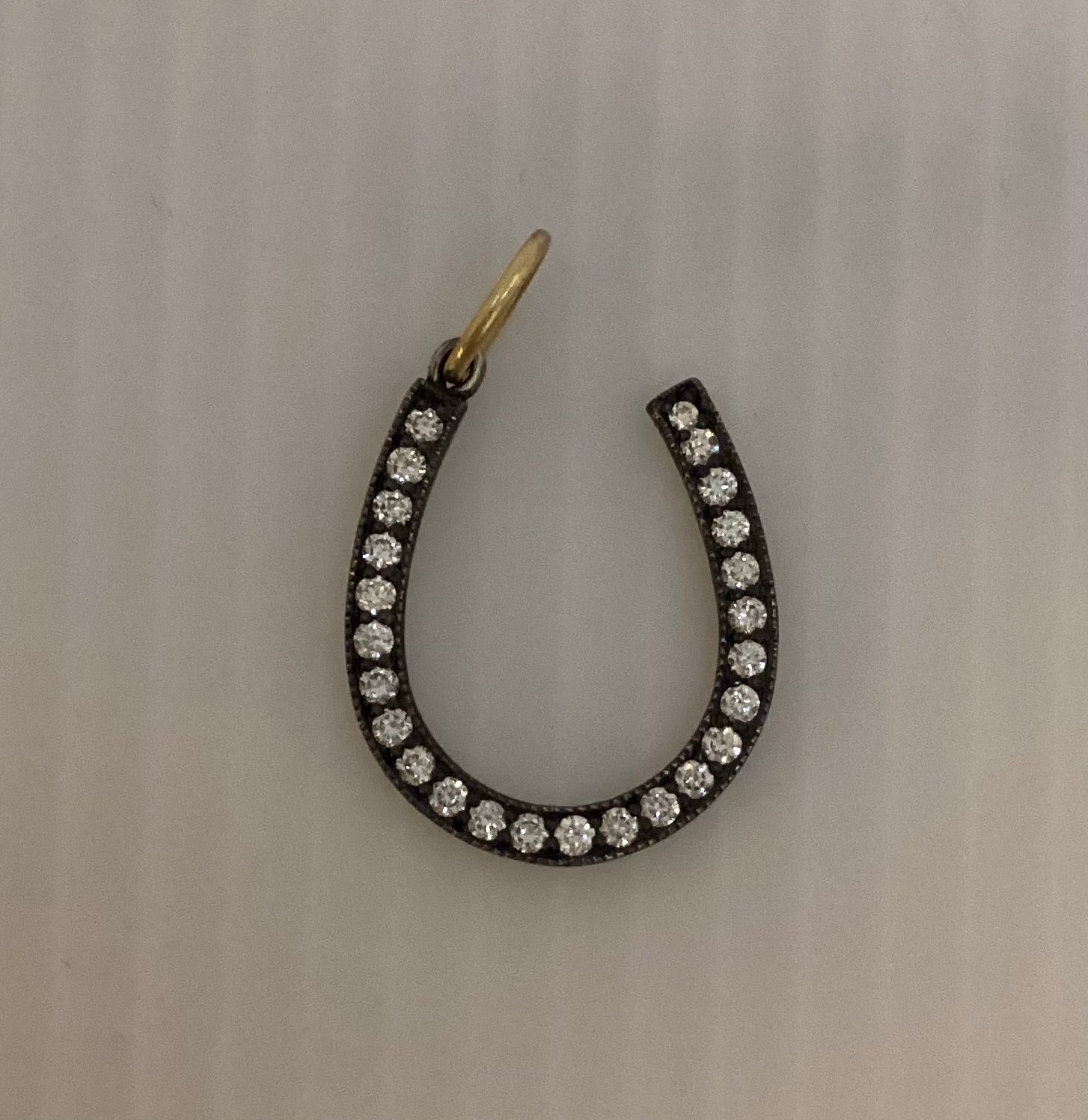 Erica Molinari large horse shoe