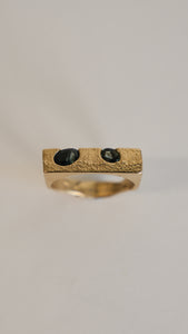 Halsted ring 2 Montana Sapphires