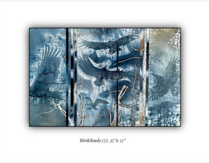 Bird Clouds 7