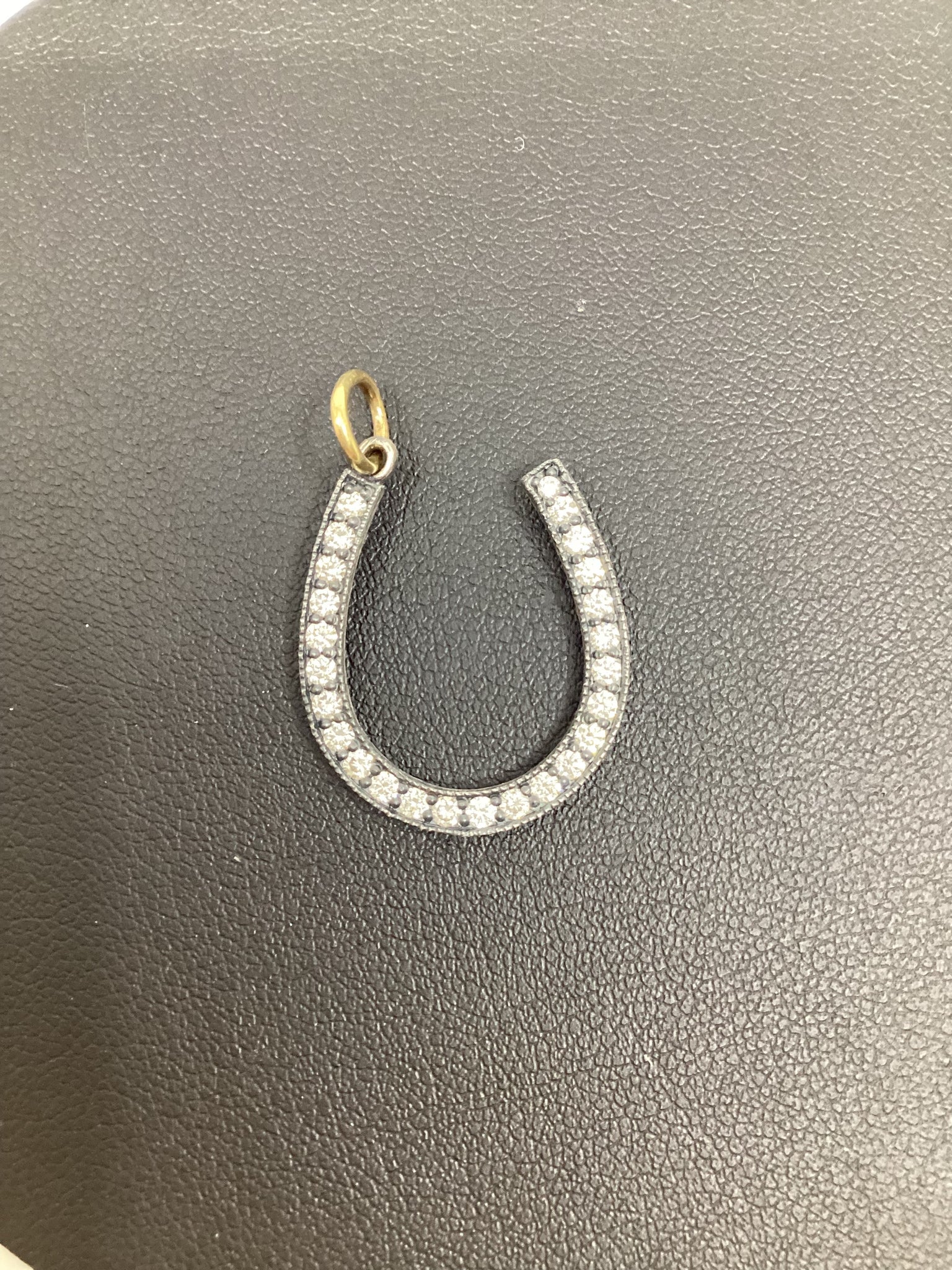 Erica Molinari small horse shoe