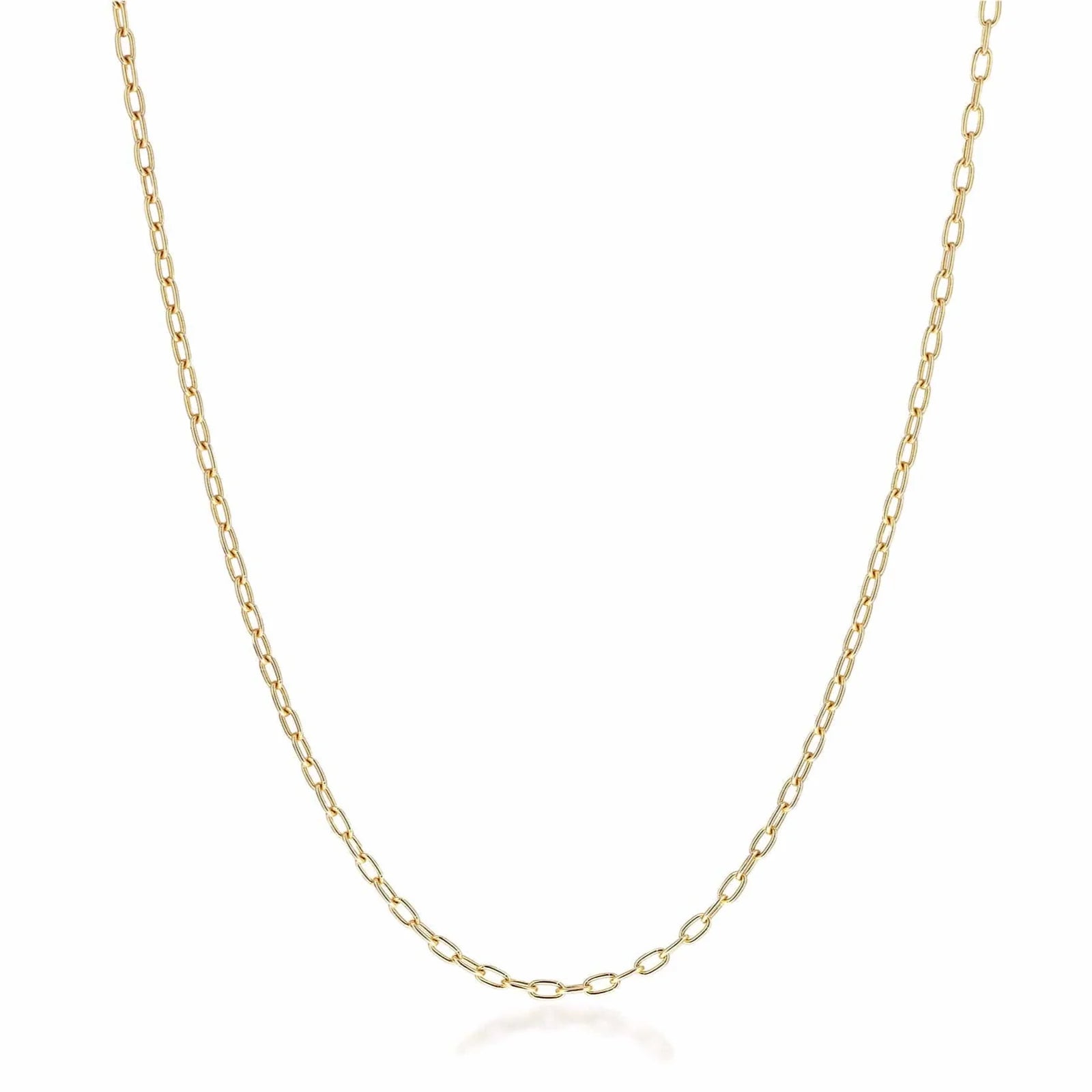 Mined + Found Petite Long Links Chain