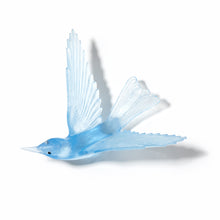 Pale Cobalt Blue - Bellbird / Korimako