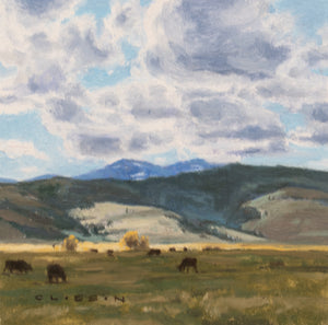 Study from Hwy 28